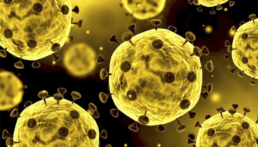 新型冠状病毒疫情解决方案